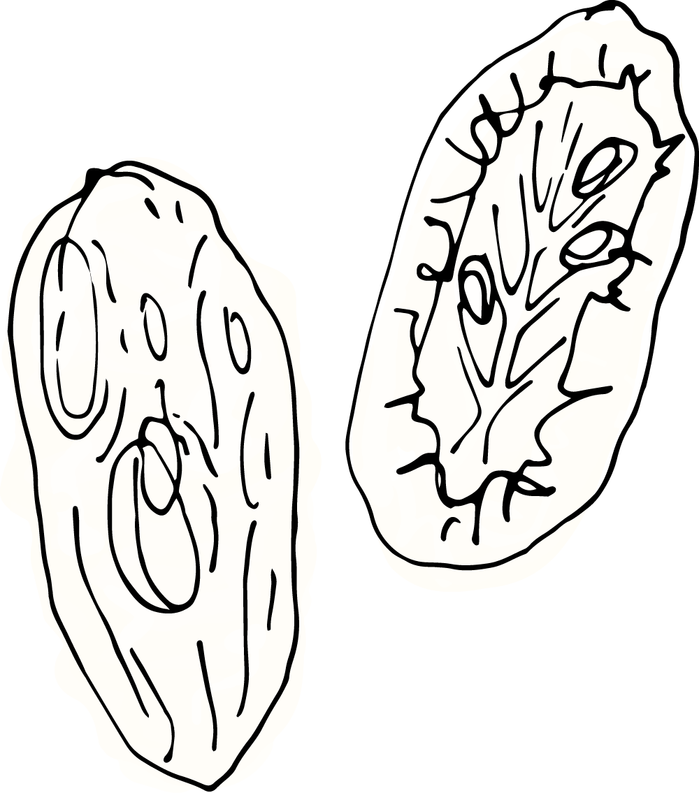 Floating Dry Tomato decoration